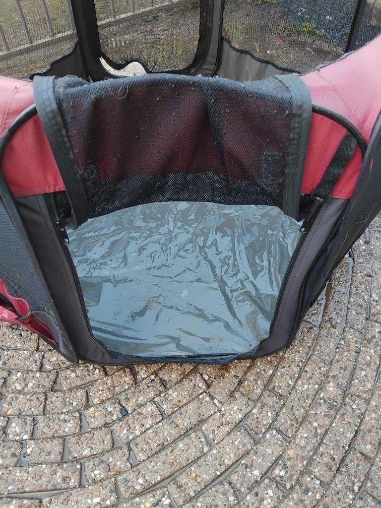 Kittenpuppy ren, Ophalen