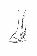 Natuurlijk bekapper, Ophalen of Verzenden, Nieuw, Overige soorten