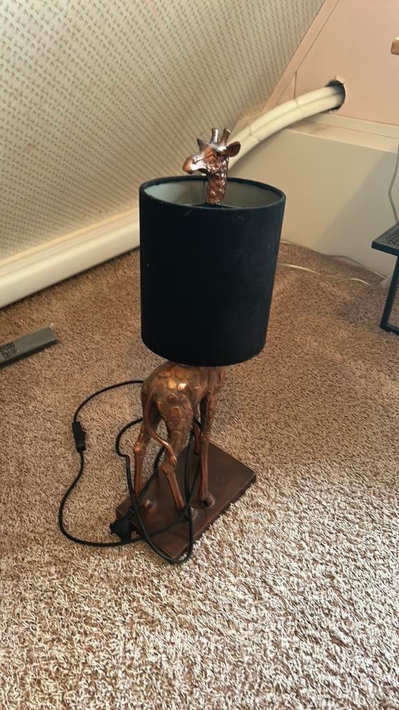 Lamp, Ophalen of Verzenden, Zo goed als nieuw, Minder dan 50 cm