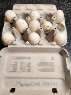 Muskus eend broedeieren, Dieren en Toebehoren, Pluimvee, Geslacht onbekend, Eend