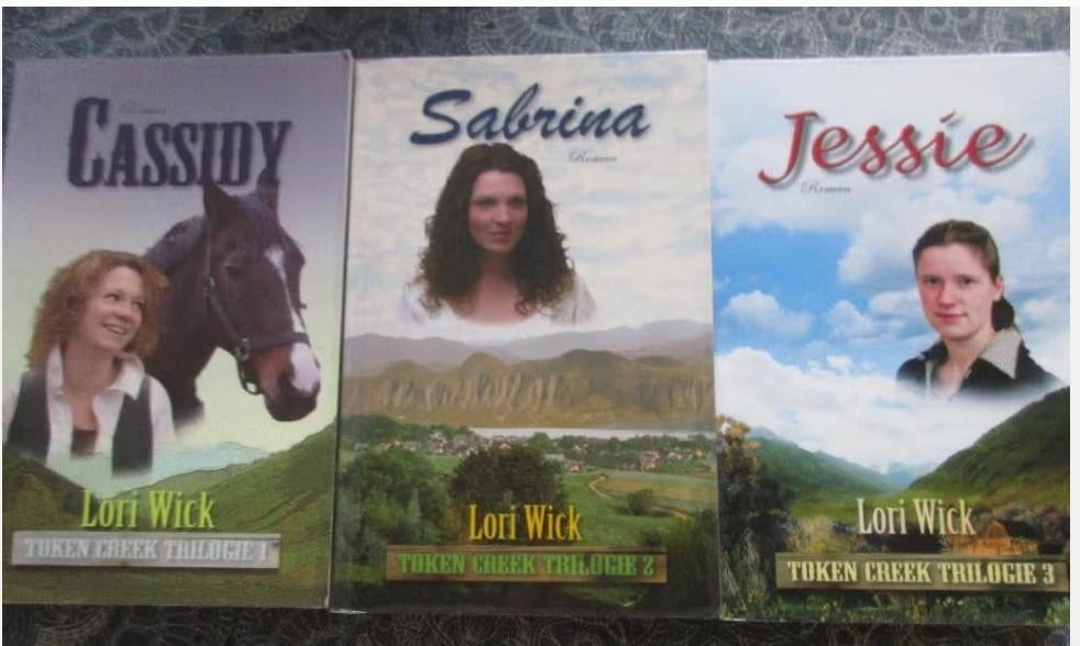 Lori Wick - waar de wilde roos bloeit /Token Creek trilogie, Boeken, Ophalen of Verzenden, Gelezen