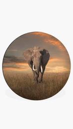 Muurcirkel olifant 60cm, Ophalen of Verzenden