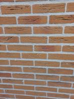 Metselstenen (Waal formaat) afm:10x21x5 cm, aantal 47 stenen, Ophalen, Gebruikt, Bakstenen