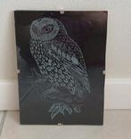 Gegraveerde uil, Ophalen of Verzenden