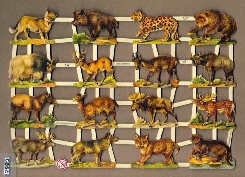 Wilde dieren met Zwijn Poëzieplaatjes 7277, Verzamelen, Ophalen of Verzenden