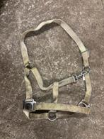 Haster cob, Ophalen of Verzenden, Gebruikt, Overige soorten