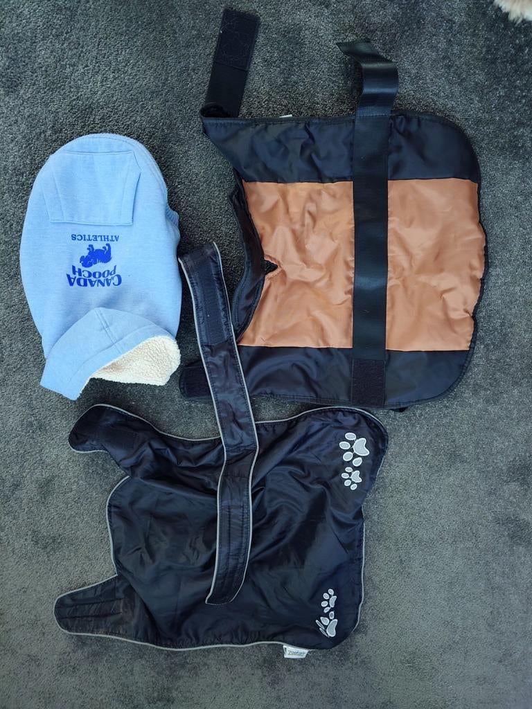 Hondenjasjes (s), Ophalen of Verzenden