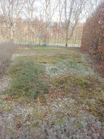 Schelpen, Ophalen, Minder dan 100 cm