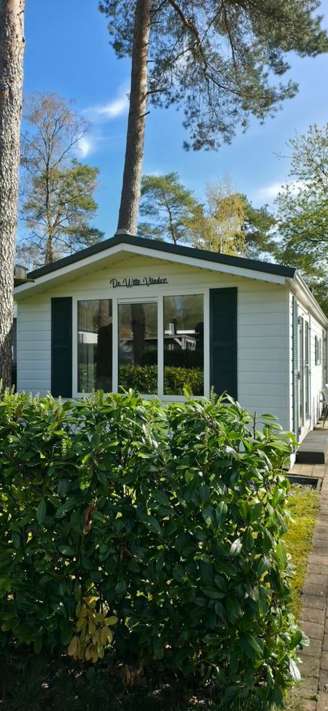 Chalet de Witte Vlinder, Veluwe, 4-persoons, Lierderholt, In bos, Recreatiepark, Gelderland en Veluwe, Chalet, Bungalow of Caravan