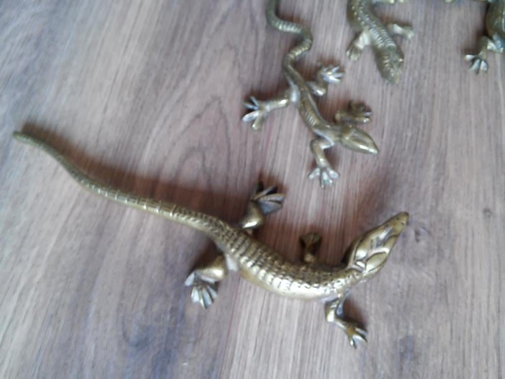 5 koperen salamanders of hagedissen, Ophalen of Verzenden, Koper