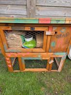 Konijnenhok, Ophalen, 110 cm of meer, Hok, 90 cm of meer