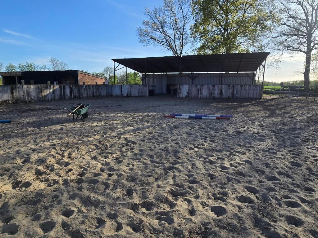 Paddock Paradise Herstelstal, Dieren en Toebehoren, Weidegang