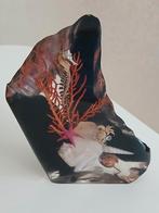 Uniek diepzee diorama 21cm, Ophalen