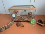 Glazen hamsterkooi, Kooi, Gebruikt, Minder dan 75 cm, Hamster