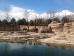€ 5,00 korting pp WILDLANDS Adventure Zoo Emmen (max 5 pers), Drie personen of meer, Kortingskaart