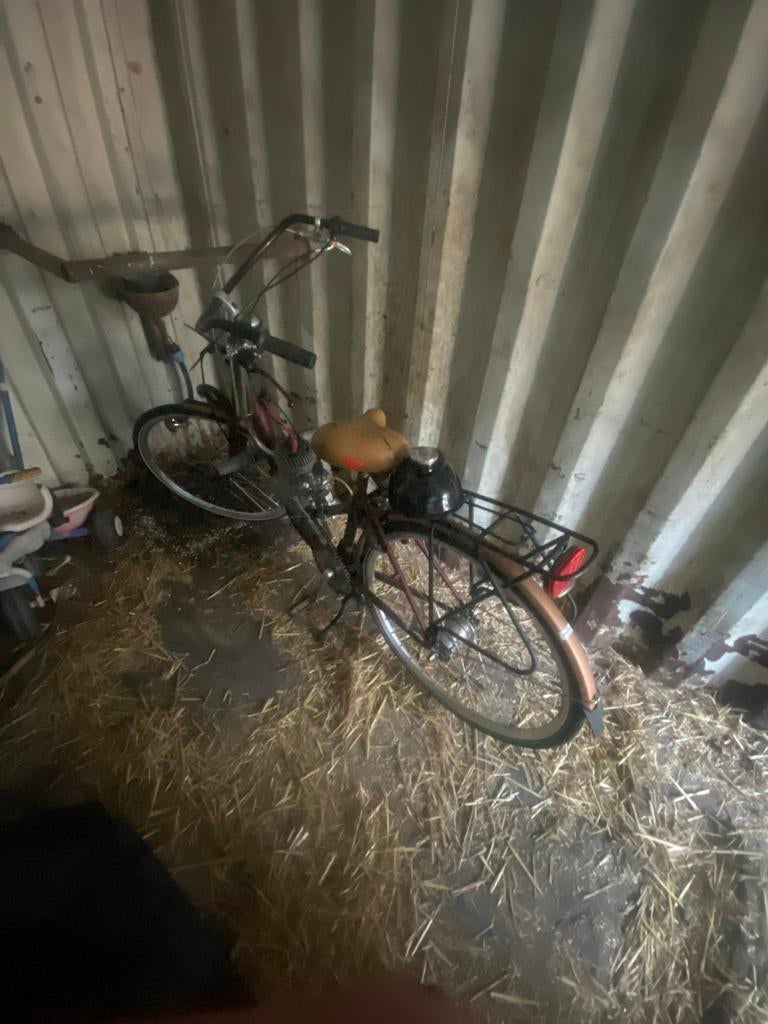Motor op fiets - Sparta met motor, Ophalen, Gebruikt, Overige typen, Overige merken