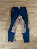 Paardrij broek - Horze - maat 36, Gebruikt, Dressuur, Dames, Onderkleding