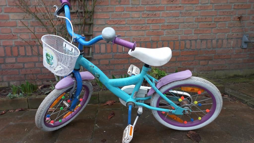 Mooi 16 inch Disney Frozen, Ophalen, Gebruikt