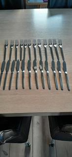 visbestek, Ophalen of Verzenden, Zo goed als nieuw, Rvs of Chroom