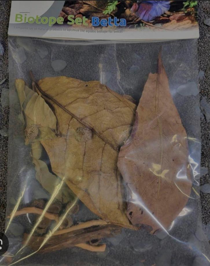 Betta biothoop set!, Dieren en Toebehoren, Vissen | Aquaria en Toebehoren, Nieuw, Plant(en), Steen of Hout, Ophalen