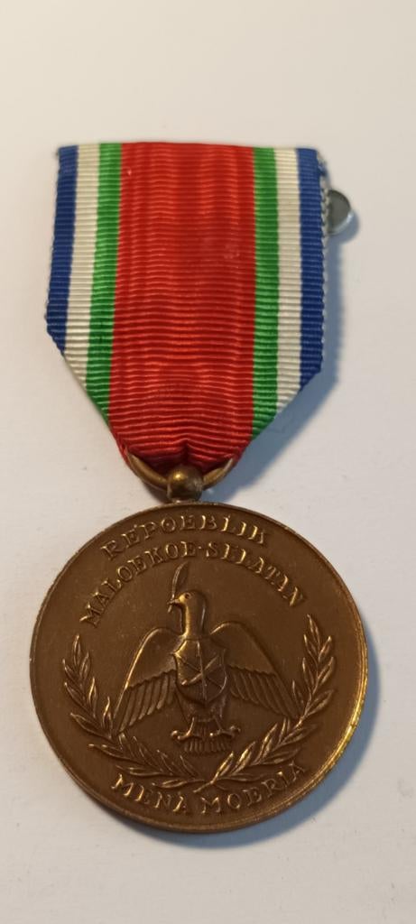 Nederlands INDIE Maloekoe Selatan Medaille., Ophalen of Verzenden, Brons, Nederland