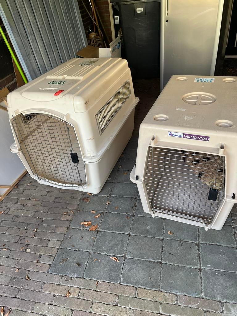Honden reis / vliegtuig bench, Dieren en Toebehoren, Transportboxen, Gebruikt, Ophalen