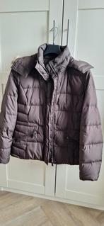 ESPRIT winterjas, Ophalen of Verzenden, Zo goed als nieuw, Maat 38/40 (M), Zwart