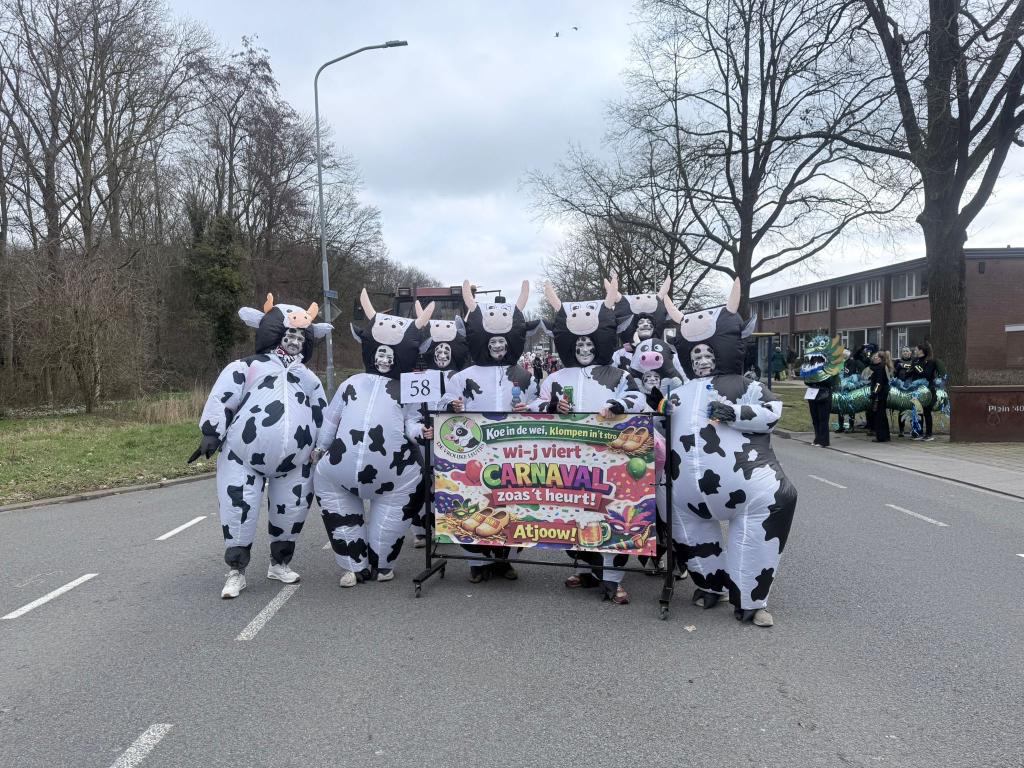 Opblaasbare koeien pakken carnaval, Carnaval, Overige maten, Ophalen of Verzenden, Kleding