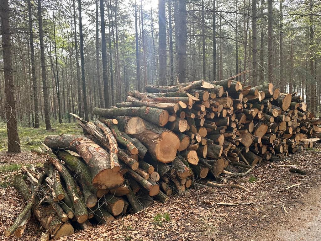 Beuken stammen brandhout, Tuin en Terras, Haardhout, Ophalen of Verzenden