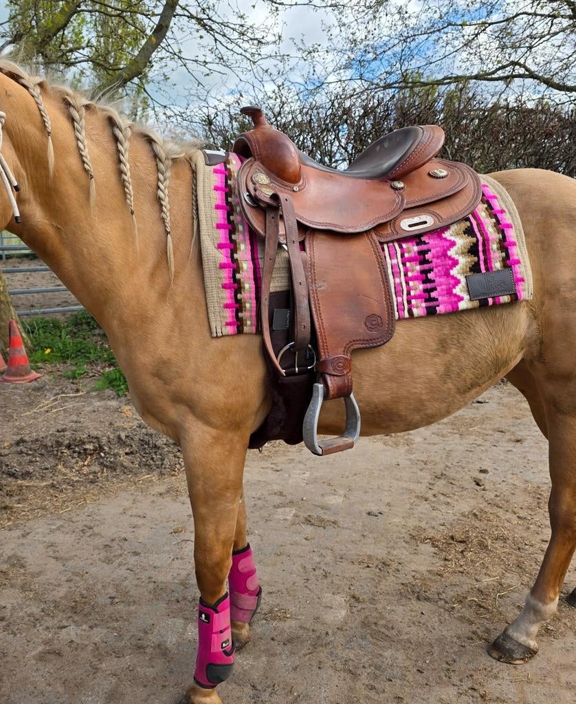 Equiflex westernzadel 16 inch, Dieren en Toebehoren, Ophalen of Verzenden, Western