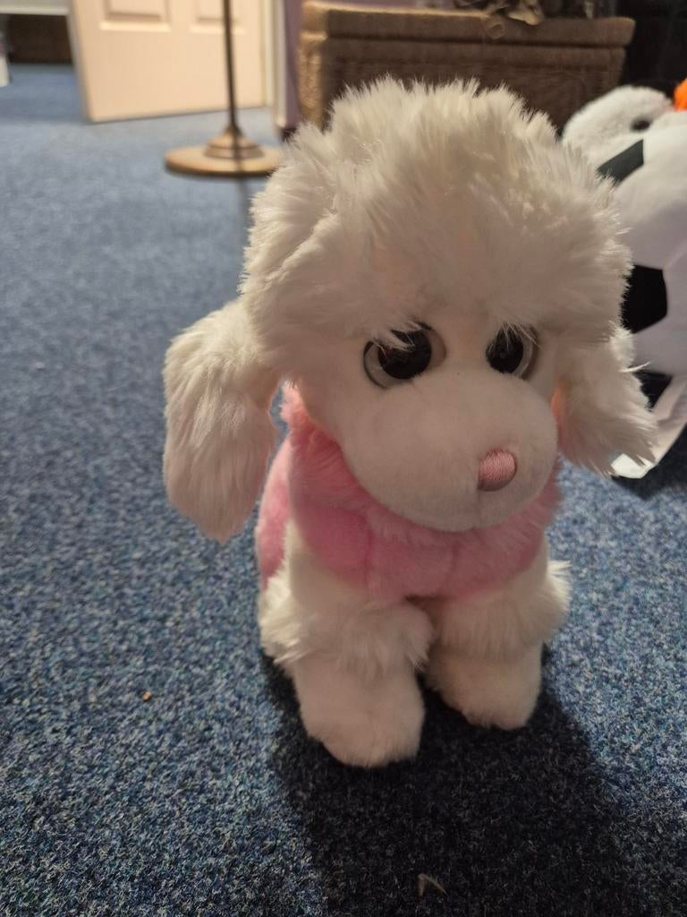 Poedel knuffel, Ophalen, Zo goed als nieuw