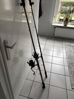 setje hengels merk horizon x molen daiwa 3 meter lang, Ophalen, Gebruikt, Complete hengel