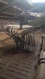 Ligboxen koeien, Dieren en Toebehoren, Stalling en Weidegang