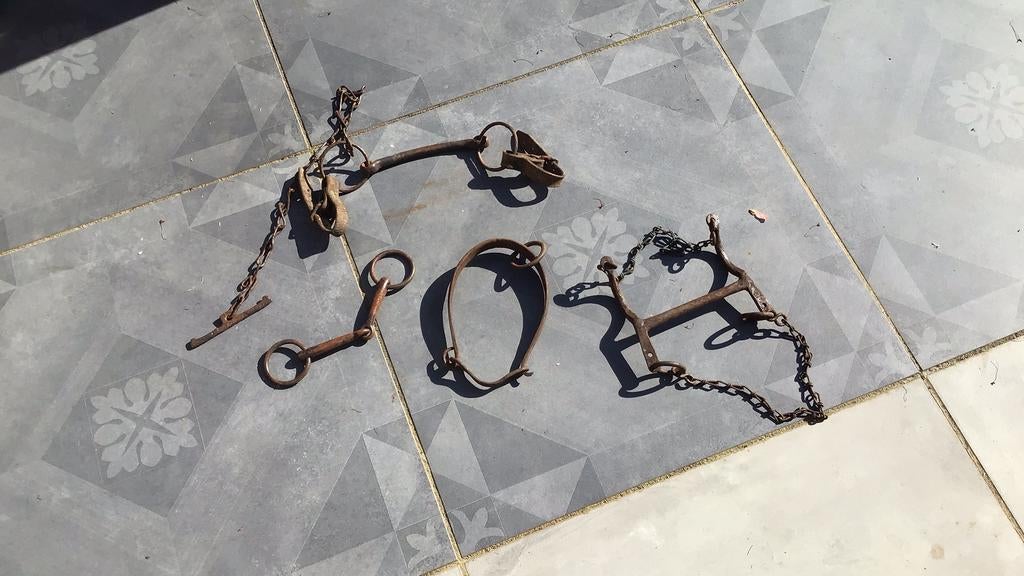3 x paardenbit plus beugel om bv.geit vast te leggen ANTIEK, Ophalen of Verzenden