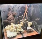 Aquarium hout en stenen alles op de foto, Dieren en Toebehoren, Ophalen, Plant(en), Steen of Hout