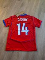 PSG Shirt - Nieuw!, Kleding | Heren, Sportkleding, Nieuw, Overige maten, Ophalen of Verzenden, Voetbal