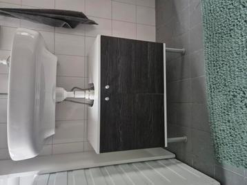 Wastafel kastje beschikbaar voor biedingen