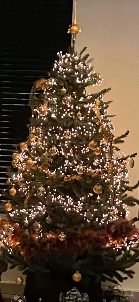 Triumph Tree 200 cm Matterhorn blauw premium kunstkerstboom, Diversen, Kerst, Zo goed als nieuw, Ophalen