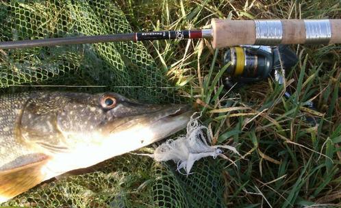 Serie T snoekstreamers voor vlieghengel en lichte spinhengel, Watersport en Boten, Hengelsport | Roofvissen, Nieuw, Complete set