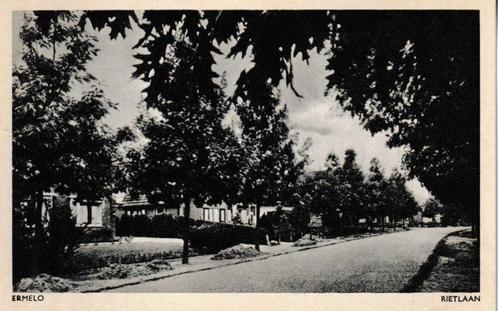 ERMELO - RIETLAAN, Verzamelen, Ansichtkaarten | Nederland, Ongelopen, Gelderland, Verzenden