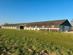 Prefab stal 2002, Dieren en Toebehoren, Stalling en Weidegang