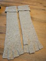 Burberry handschoenen - Grijs, Kleding | Dames, Mutsen, Sjaals en Handschoenen, Burberry, Ophalen of Verzenden, Nieuw, Handschoenen