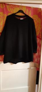 nieuw zwart truitje met doorkijk gaas t/m 46, Ophalen of Verzenden, Nieuw, Maat 46/48 (XL) of groter, Zwart
