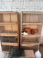 Duiven hokken/Duif spullen, Dieren en Toebehoren, Meerdere dieren, Overige soorten