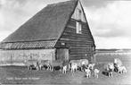 Texel Boet met Schapen, Ophalen of Verzenden, 1960 tot 1980, Ongelopen, Waddeneilanden