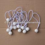 Elastiek met bal / tentspanner wit 12-delig lengte 17 cm