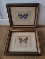 2 x Gravure 'Vlinder' van Pietro Scattaglia ingelijst, Ophalen of Verzenden