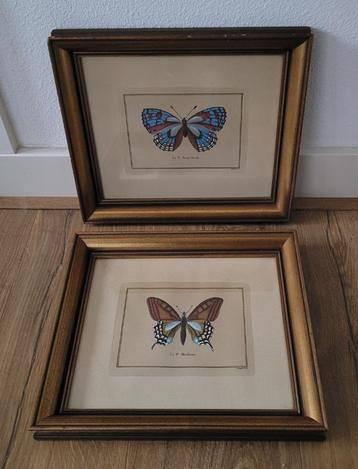 2 x Gravure 'Vlinder' van Pietro Scattaglia ingelijst beschikbaar voor biedingen