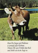 Koe Hast du Sorgen mit Problemen, so Vermiede jedes 77, Verzamelen, Ansichtkaarten | Dieren, Ophalen of Verzenden, 1980 tot heden