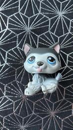 LPS husky hond #210 Hasbro 2007, Ophalen of Verzenden, Gebruikt